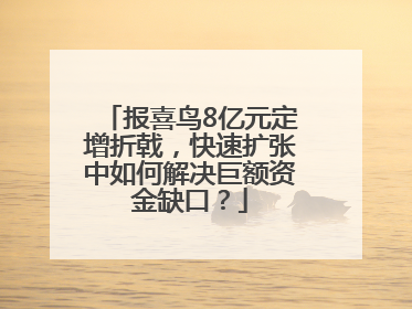 报喜鸟8亿元定增折戟，快速扩张中如何解决巨额资金缺口？